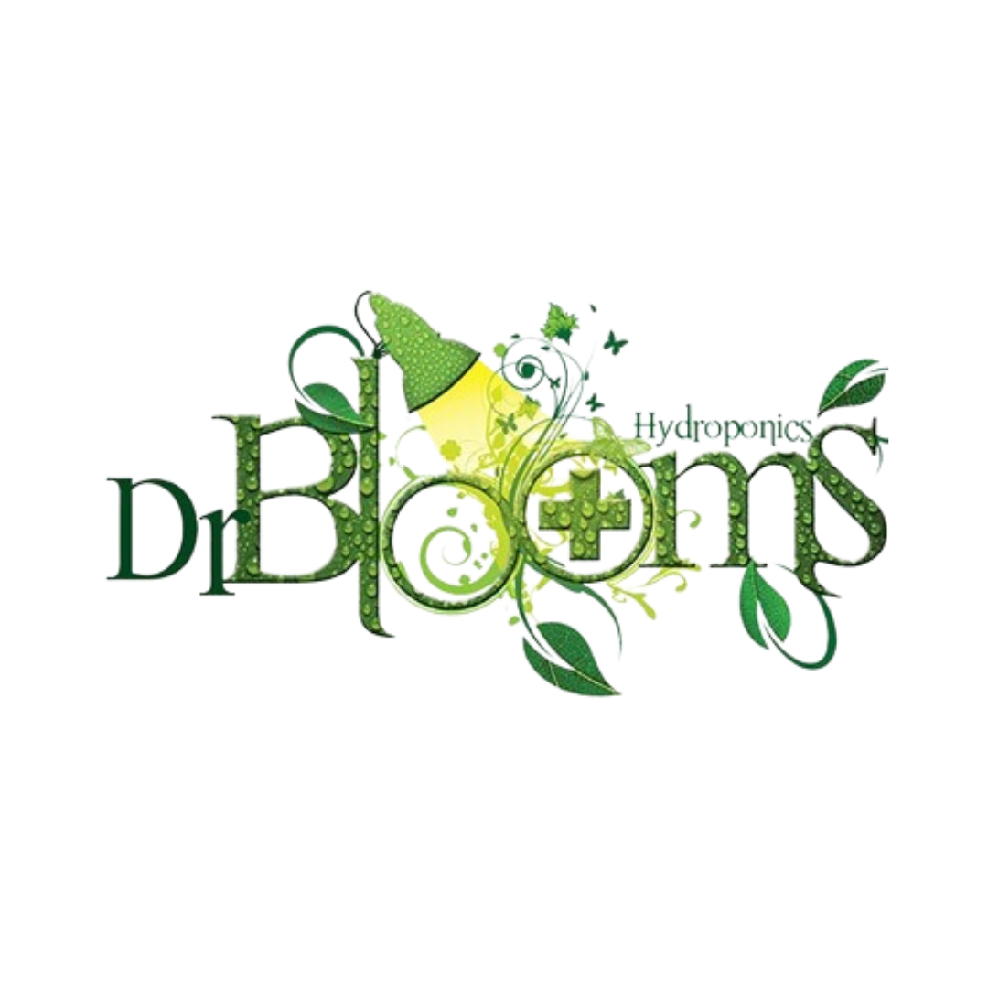 Dr Blooms