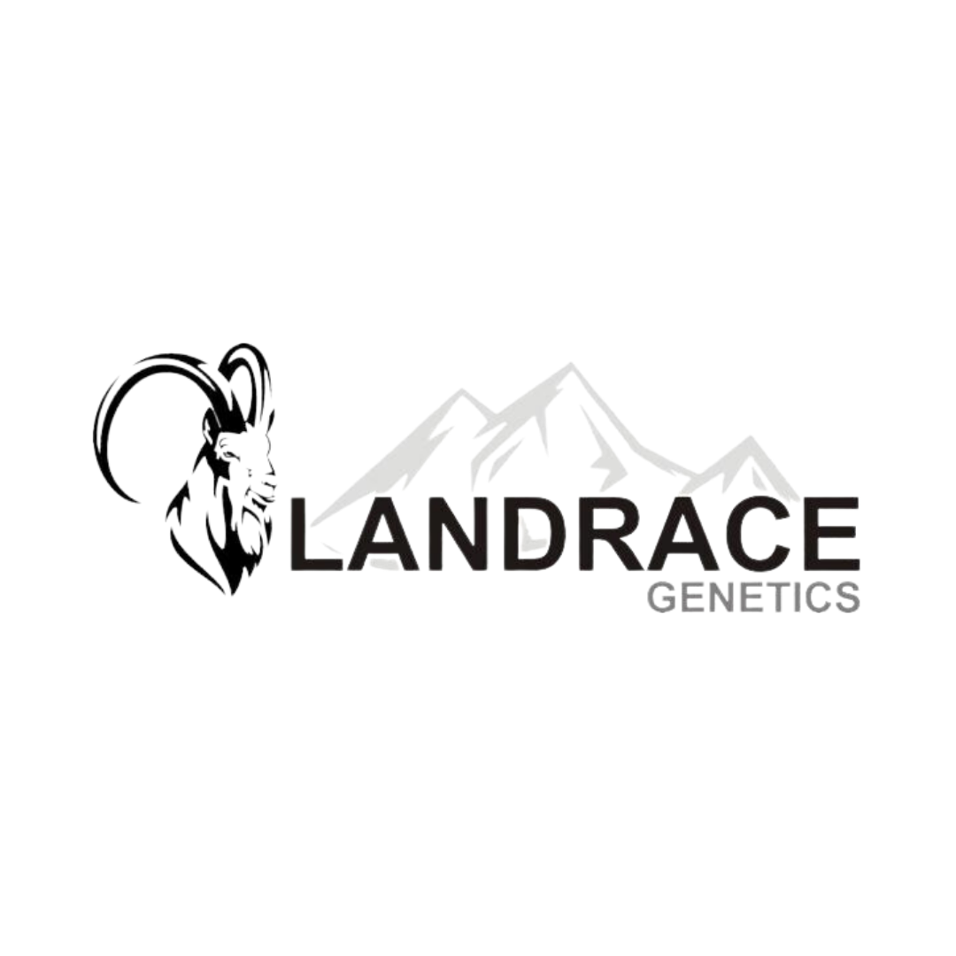 Landrace Genetics